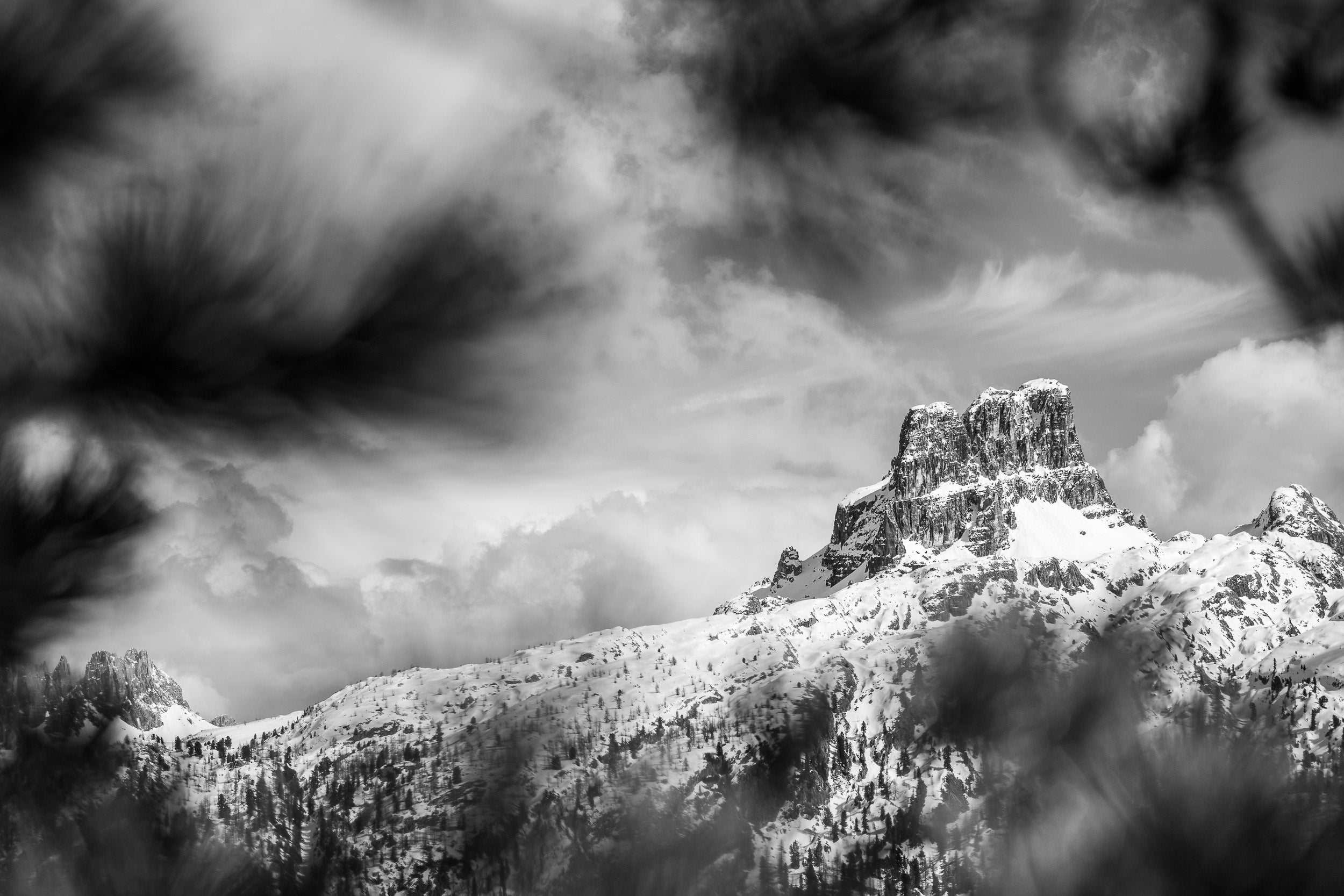 Fotografia invernale in bianco e nero del Monte Averau visto tra i rami di un pino cembro.