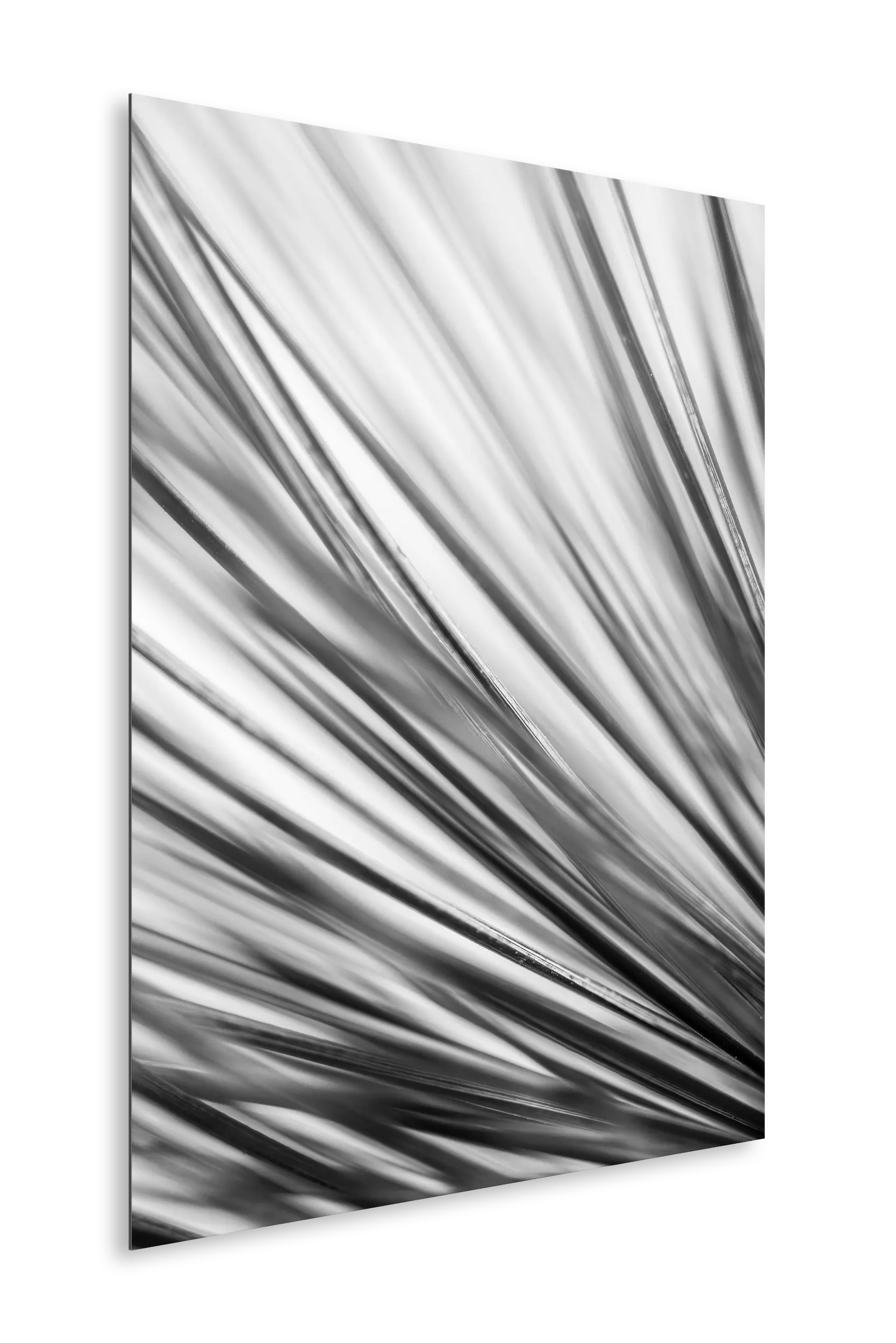Needles