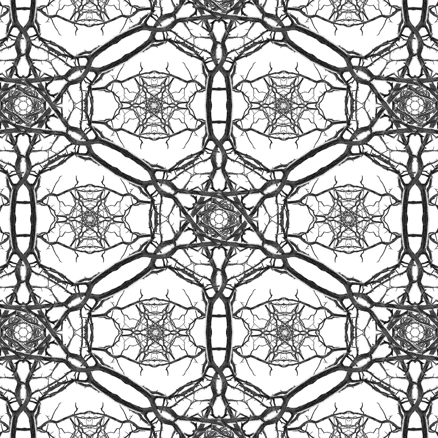 Stampa Fine Art con composizione simmetrica in bianco e nero di rami spogli intrecciati, disposti in forma kaleidoscopica su sfondo bianco