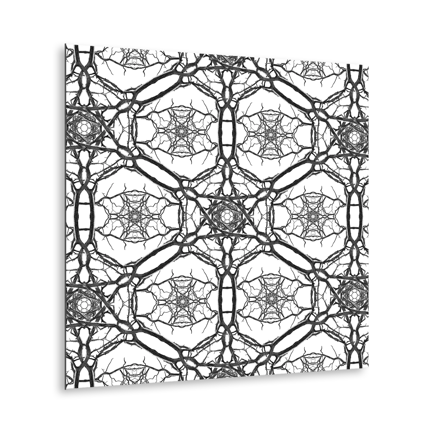 Stampa Fine Art con composizione simmetrica in bianco e nero di rami spogli intrecciati, disposti in forma kaleidoscopica su sfondo bianco